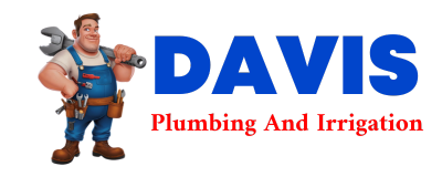 Trusted plumber in LENORAH